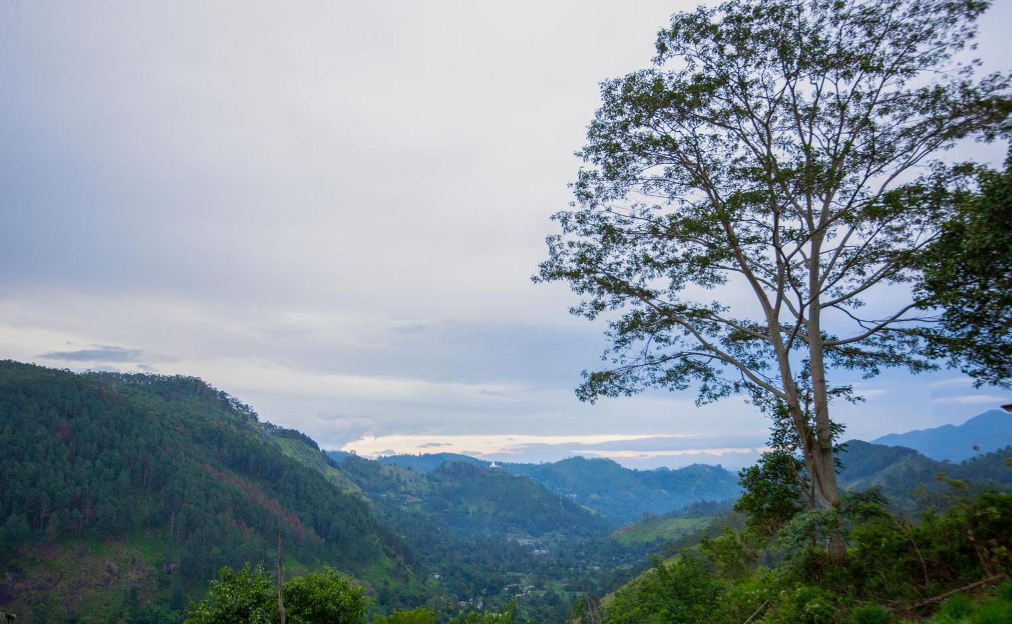 Dowa Elegance Resort Ella Ngoại thất bức ảnh